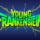 Full Cast Announced for The Muny's YOUNG FRANKENSTEIN, Starring Robert Petkoff, Jen…