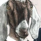 L.I.P. Service Theatre Company's THE GOAT OR WHO IS SYLVIA? to Open 5/26 Video