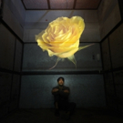 Horse Head Theatre Co. Presents Surreal Drama LIDLESS Beginning Today