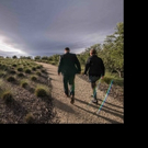 The Stags Leap District Announces the Dates for the 2016 “Vineyard to Vintner” Weeken