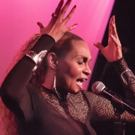 Vivian Reed Releases New Album STANDARDS AND MORE, Slates Fall NYC Return Video