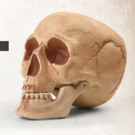 AT&T Performing Arts Center Presents HAMLET Readings This Weekend