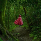 Dean College to Stage INTO THE WOODS This November