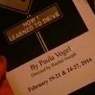 BWW Review: HOW I LEARNED TO DRIVE at Trinity