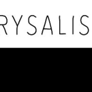 OCT's Young Professionals to Present New Play CHRYSALIS Video