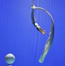 CIRCOPERA An Extravaganza for the Whole Family, to be Streamed Worldwide by the Finni