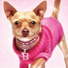 South Bend Civic Theatre Adds a New Performance Date for LEGALLY BLONDE