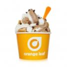 Orange Leaf Frozen Yogurt Introduces New Toasted Marshmallow Flavor Froyo