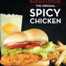 You Know You Want It ... Wendy's Spicy Chicken Sandwich