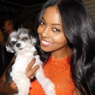 Photo Flash: Tinkerbelle the Dog Visits Broadway's SHUFFLE ALONG