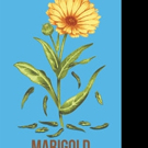 Jacob Amstel Releases MARIGOLD