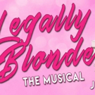 Cast Announced for Broadway Method Academy's LEGALLY BLONDE Video