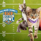 Hallmark Channel Teams with North Shore Animal League in Support of KITTEN BOWL III