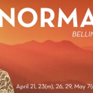 Dallas Opera Presents Bellini's NORMA, 4/21-5/7