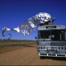 Actors Benevolent Fund of NSW to Present Sing-A-Long Screening of 'PRISCILLA' Video