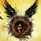 HARRY POTTER AND THE CURSED CHILD Predicted To Become 'Most Read Play Of All Time'