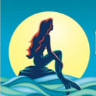 BWW Interviews: Registration Now Open for THE LITTLE MERMAID at Broadway Academy of P Interview
