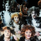 STAGE TUBE: GREASE LIVE, Megan Hilty, CATS, and More Extras You Missed on Facebook This Week