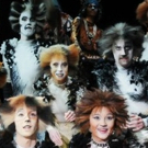 STAGE TUBE: GREASE LIVE, Megan Hilty, CATS, and More Extras You Missed on Facebook…