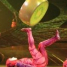 BWW Review: Cirque Du Soleil's OVO, at U.S. Bank Arena, Delights Cincinnati with Whim Video