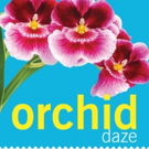 Escape to ORCHID DAZE This Spring at Atlanta Botanical Garden