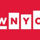 BRIC and WNYC Host Town Hall on School Segregation Today Video