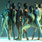 Dance Theatre Of Harlem Kicks Off Season With 2017 VISION GALA Video
