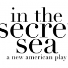 Martin Charnin to Direct Cate Ryan's IN THE SECRET SEA at The Beckett Theatre This Sp Video