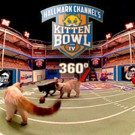 Hallmark Channel Announces Official Sponsors for KITTEN BOWL IV