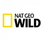 Nat Geo WILD & Cesar Millan Looking for Dogs to Star in New Series CESAR AND SON
