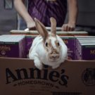 Annie's Democratizes Organic for Everybunny