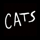 Claw Your Way to CATS with the Broadway Revival's Digital Lottery Video