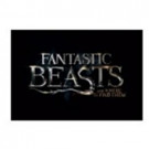Warner Bros. Announces Global Publishing Partners for FANTASTIC BEASTS AND WHERE TO F Video
