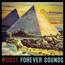 Wussy's New Album FOREVER SOUNDS Out Today Video
