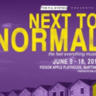 Brand New Theatre Company Begins Inaugural Season with NEXT TO NORMAL Video