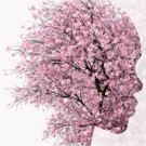 Theatre Royal Stratford East Announces Full Casting for Bonnie Greer's THE HOTEL…