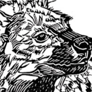 HYENA SUBPOENA by Cat Kidd: Six Wild Animal Tales Set to Soundscapes