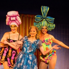 PRISCILLA Extends JHB Season; Adds Worker's Day Performance Video