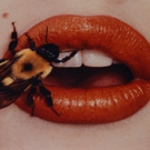 Frist Center Presents Works By Irving Penn In IRVING PENN: BEYOND BEAUTY Opens Today Video