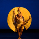 Momix Brings Back OPUS CACTUS to Van Wezel