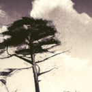 BPA Gallery to Highlight Printmakers for INKGARDEN First Today Art Walk