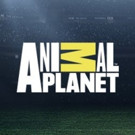 Animal Planet Partners with 18 Zoos and Aquariums for 10-Hour Facebook Live Marathon