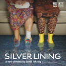 English Touring Theatre Announces Casting Update for SILVER LINING Video