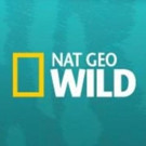 Nat Geo Wild Presents FREAKEND This Halloween