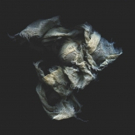 Tulipomania Releases Fourth Album THIS GILDED AGE Today
