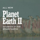 BBC America's PLANET EARTH II Becomes Highest-Rated U.S. Nature Show