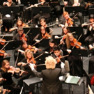 New Philharmonic to Put on Three New Year's Eve Concerts at the MAC Video