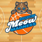 John Salley to Co-Announce Hallmark Channel Special Event MEOW MADNESS