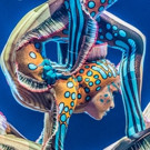 Cirque du Soleil to Play Dodger Stadium Video