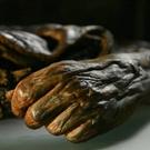 Smithsonian Channel Premieres New Series MUMMIES ALIVE Tonight